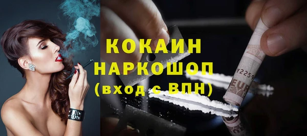 твердый Ельня