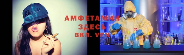 твердый Ельня
