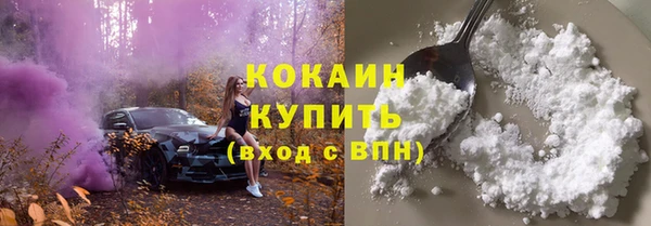 твердый Ельня