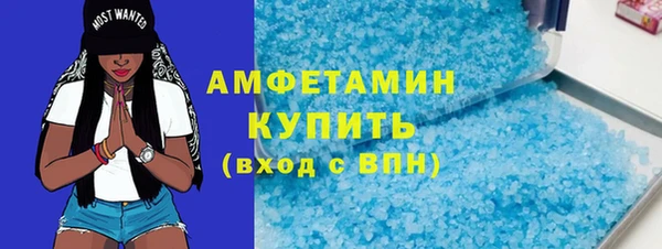 твердый Ельня