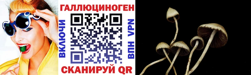 Галлюциногенные грибы мухоморы  Купить  Западная Двина 