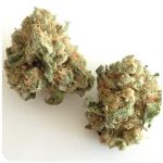 Шишки "White Widow"  (Белая вдова)  Гидропоника -  Бошка VHQ в Западной Двине
